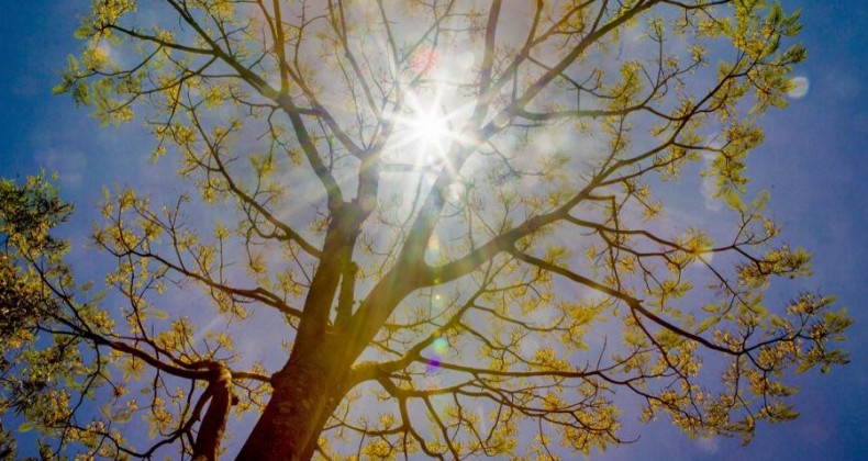 Mais calor e menos chuvas: saiba como será a primavera em SC
