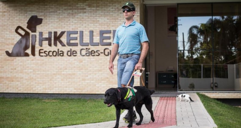 Escola de cães-guia Helen Keller faz vaquinha on-line para se manter
