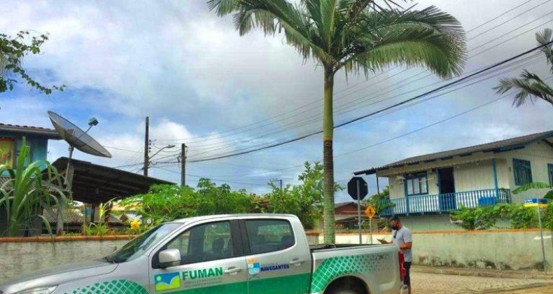 Fundação do Meio Ambiente inicia censo florestal urbano