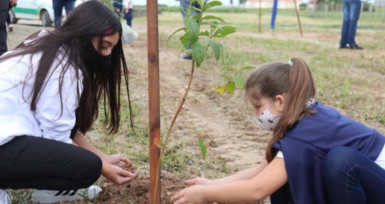 Semana do meio ambiente inicia com plantio de espécies nativas