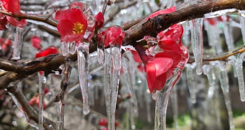 Confirmado ‘caminho’ do frio extremo em SC, com neve e máximas negativas