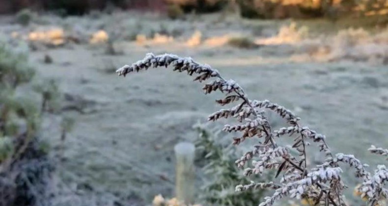 Do calor ao frio: SC terá semana de ‘choque térmico’ com mudanças no tempo