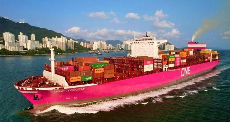 Navio gigante vem pela primeira vez ao Brasil pelo porto da Navegantes